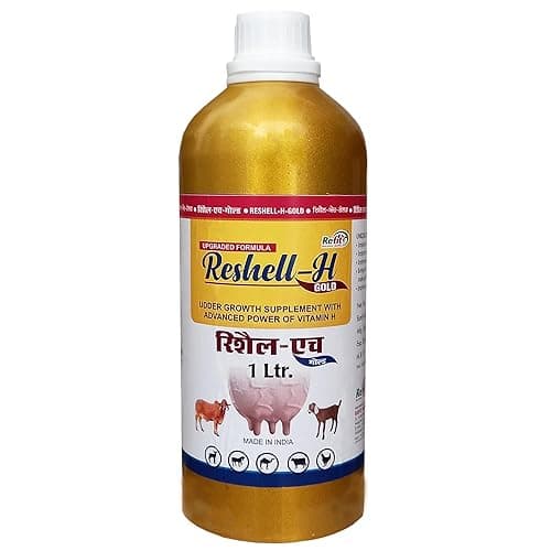 REFIT ANIMAL CARE Veterinary Vitamin H Supplement for Cow, Cattle, Goat, Chicken, Layers, Broilers, Poultry and Other Livestock Animals, 1 Litre, Reshell H Gold