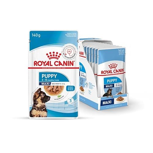 Royal Canin Maxi Puppy Food for Stage 3, 140Grams, Pack of 10 Sachet, Wet Food, Supports Immune System & digestive health, Provides Long growth, moderate energy