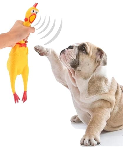 Sage Square Squeaky Big Chicken Toy: The Perfect Combination of Fun, Durability, and Safety for Your Four-Legged Pal, A Must-Have Interactive Dog Toy, an Interactive Experience Like No Other (32Cm)
