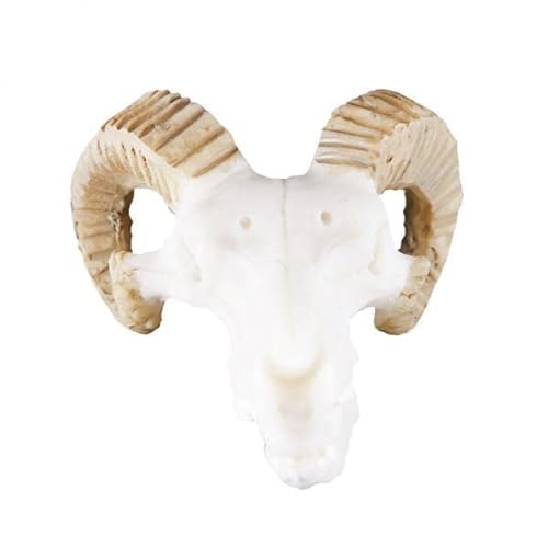 2xResin Alligator Skull Aquarium Ornament Fish Tank Reptile Terrarium Aquatic E|Pet Supplies | Fish & Aquariums | Decorations|1 Piece Resin Aquarium Decorative Craft(2 Pack)