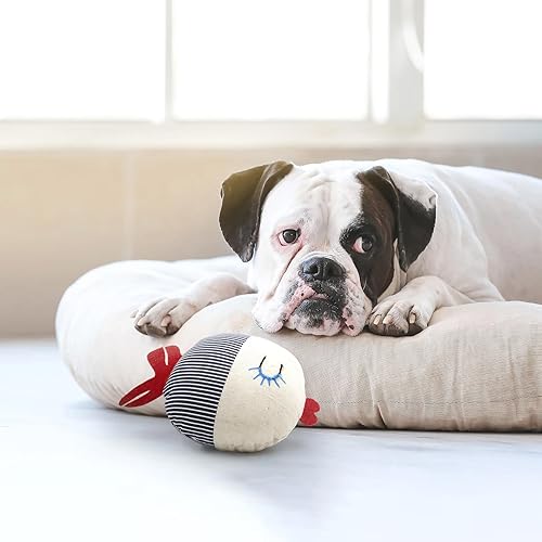 Bobber The Fish – Squeaky Plush Toy for Dogs, Puppies & Cats – Safe & Non-Toxic