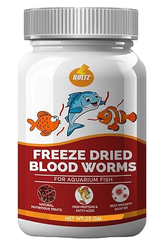 BOLTZ FreezeโDried Blood Worms Fish Food 25โฏg โ Natural Premium Treat for Bettas, Tetras, Arowana, Flowerhorn, Oscar โ Enhances Color, Appetite & Immunity โ Made in India