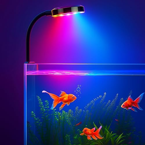 BURAQ N6 Multicolor Aquarium LED Light 2.5W | WRGB Spectrum | 3 Lighting Modes | 360ยฐ Flexible Arm | Clip-On Lamp for Nano Fish Tanks & Bowls