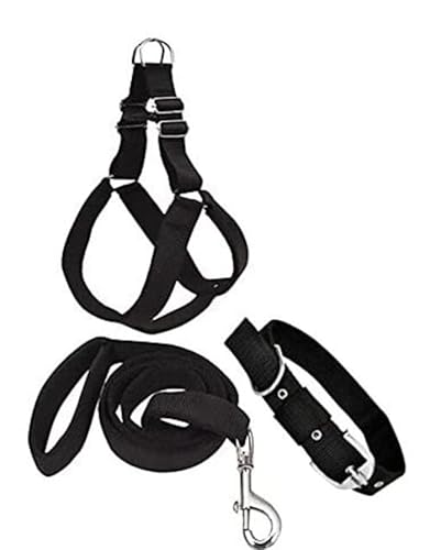 Colourful Adjustable Nylon Dog's Leash Harness and Collar Combo, Suitable for All Dogs Age Multicolour (Collar + Harness) (Large, Black)