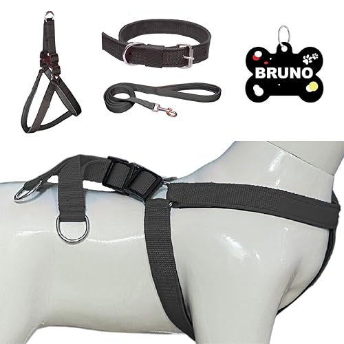 Dog Harness Collar Leash with Name ID Tag | Harness for Medium Dogs, Soft Padded, Adjustable | for 14-23 Kg Pet (M, Black)