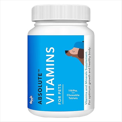 Drools Absolute Dog Supplement Tablets 400g, 110 Pieces Jar | Vitamin Flavour | Supports Growth | Maintains Healthy Body Condition | Speedy Recovery from Disease