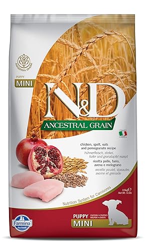 Farmina N&D Pumpkin Adult Mini Dog Food | Chicken, Pomegranate & Pumpkin | Rich in Anti-oxidants | Complete Food for Adult Dogs | 0.8kg | No Artificial Preservatives