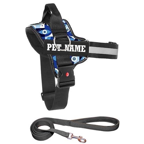 KIKA Pets Personalized Dog Harness | Dog Harness with Name | Customized Dog Vest Harness, Small Size (for 5-12 kg Dogs) Evil Eye Dog Harness (Nazar Na Lage) with Padded Leash