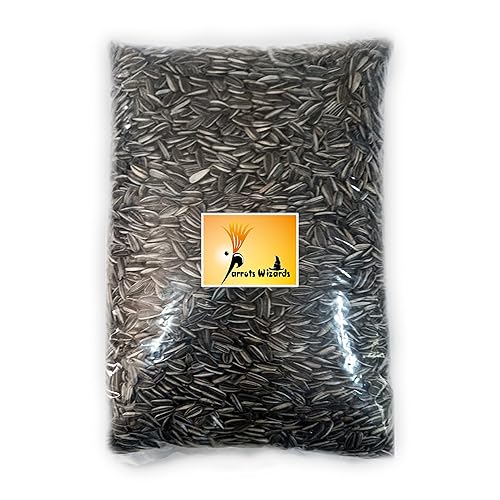 Parrots Wizard Bird Small Size Strip Sunflower Seeds for Medium Size Parrots 900 Grams