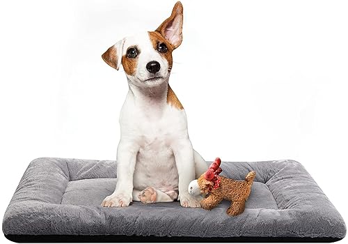 PAWSOME Ultra Soft Pet(Dog/Cat) Crate Mat Anti-Slip Machine Washable Kennel Pad Dog Sleeping Well Bed for Dogs (Grey, Large)