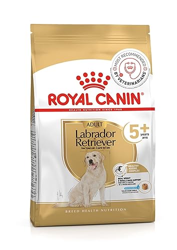 Royal Canin Labrador Retriever Adult Dog Food for 5+ Years of Age, 3 Kg, Dry Food, Supports Ideal Weight & Mass Management, Promotes Healthy Ageing Complex