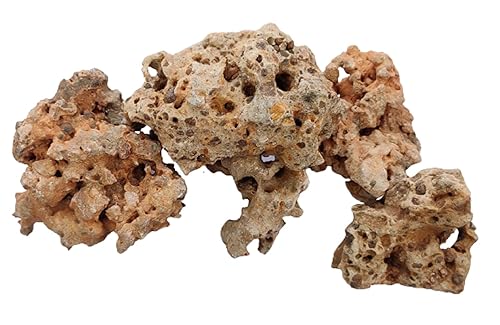 RUKDAยฎ Authentic Natural Hole Congo Rock: Versatile Stone for Aquariums Decor, Gardens Decoration, Bonsai Rock Base, and Home Decoration - (Congo Rock 1 Kg)