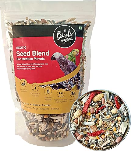 The Birds Company All Life Stages Exotic Seed Blend of 20 Grains & Exotic Nuts, Fortified with Spirulina & Cuttlefish Bone, Bird Food for Medium Parrots, African Grey, Conures, Eclectus, 450 g